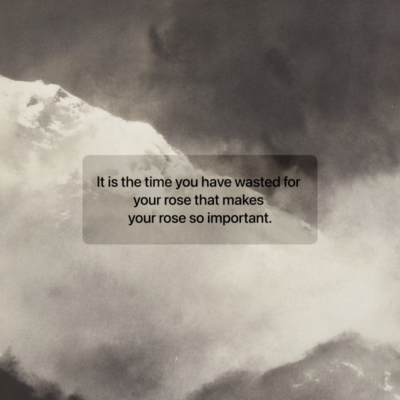 Image of vintage milk cap